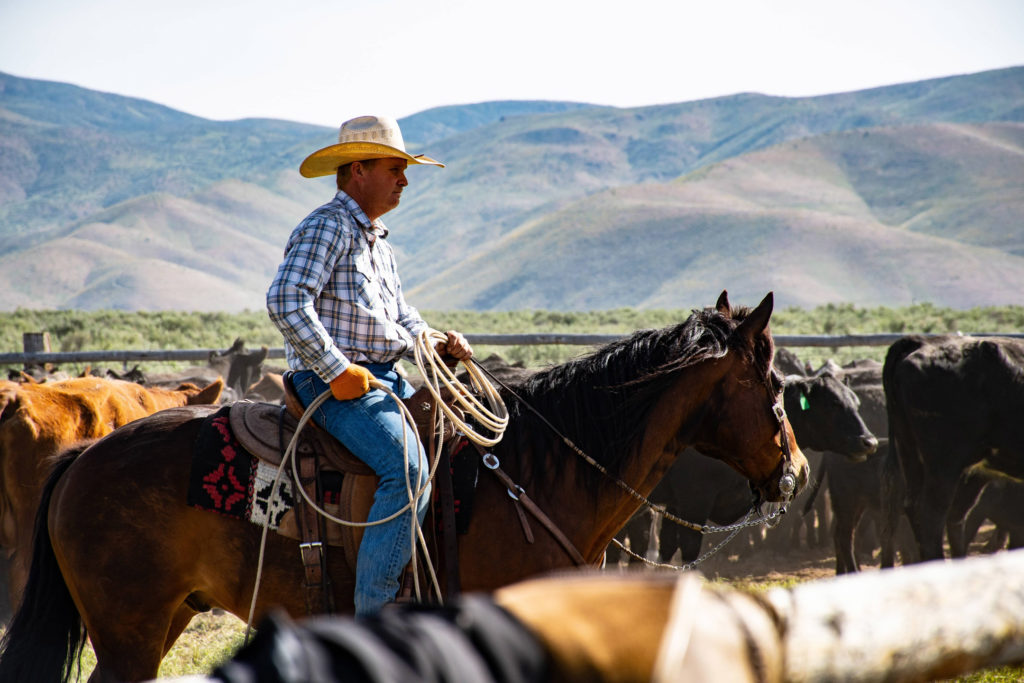 premium-california-foods-rancher-livestock-ranch